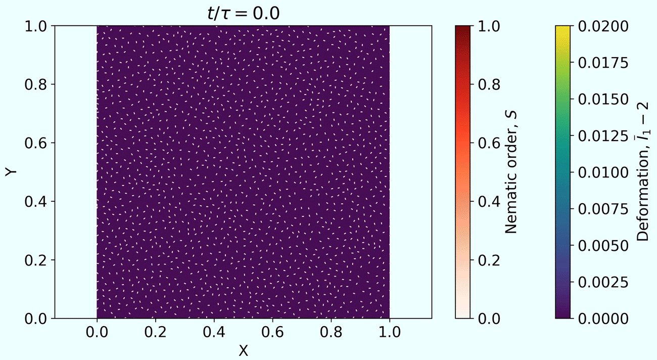 ANE_demo_v2.gif