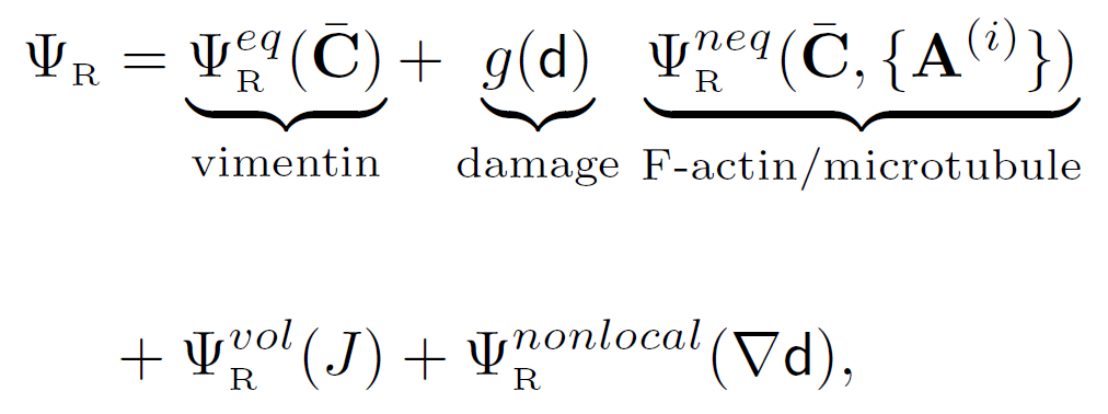 IPN.png