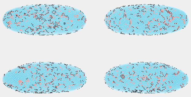 RearrangementPrediction.gif